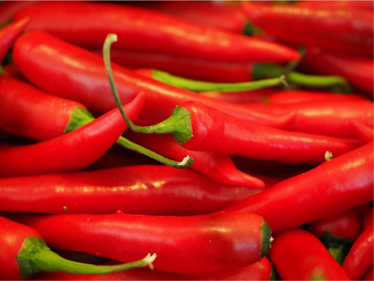 Wellhealthorganic.com:red-chilli-you-should-know-about-red-chilli-uses-benefits-side-effects